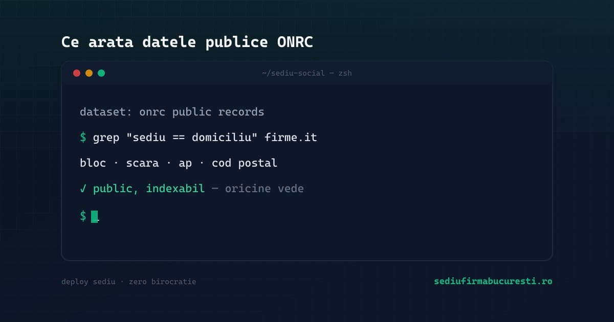 Ce arată datele publice ONRC despre firmele IT cu sediul la domiciliu în 2026 — SediuFirmaBucuresti.ro